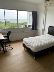 Laguna Park (D15), Apartment #470842621